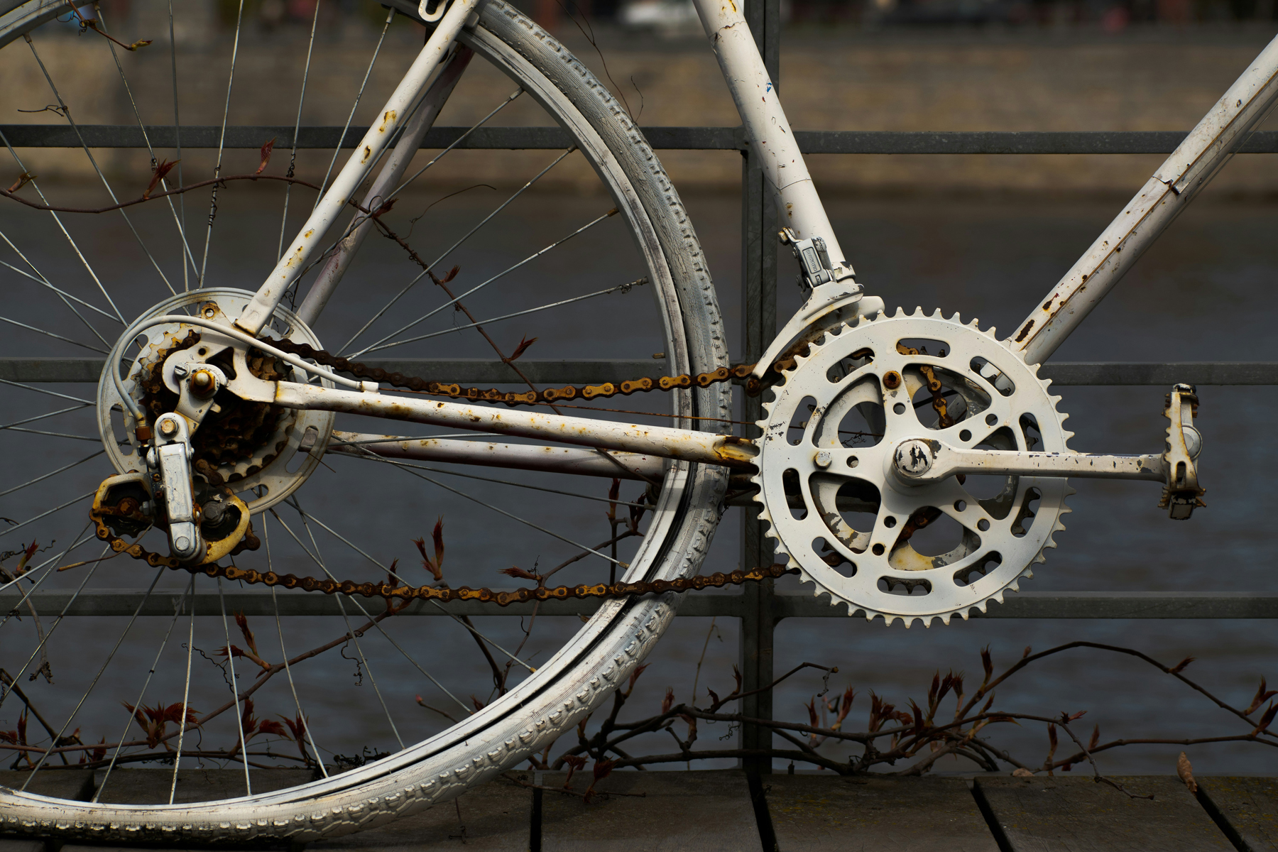 Verschmutzte Fahrradkette