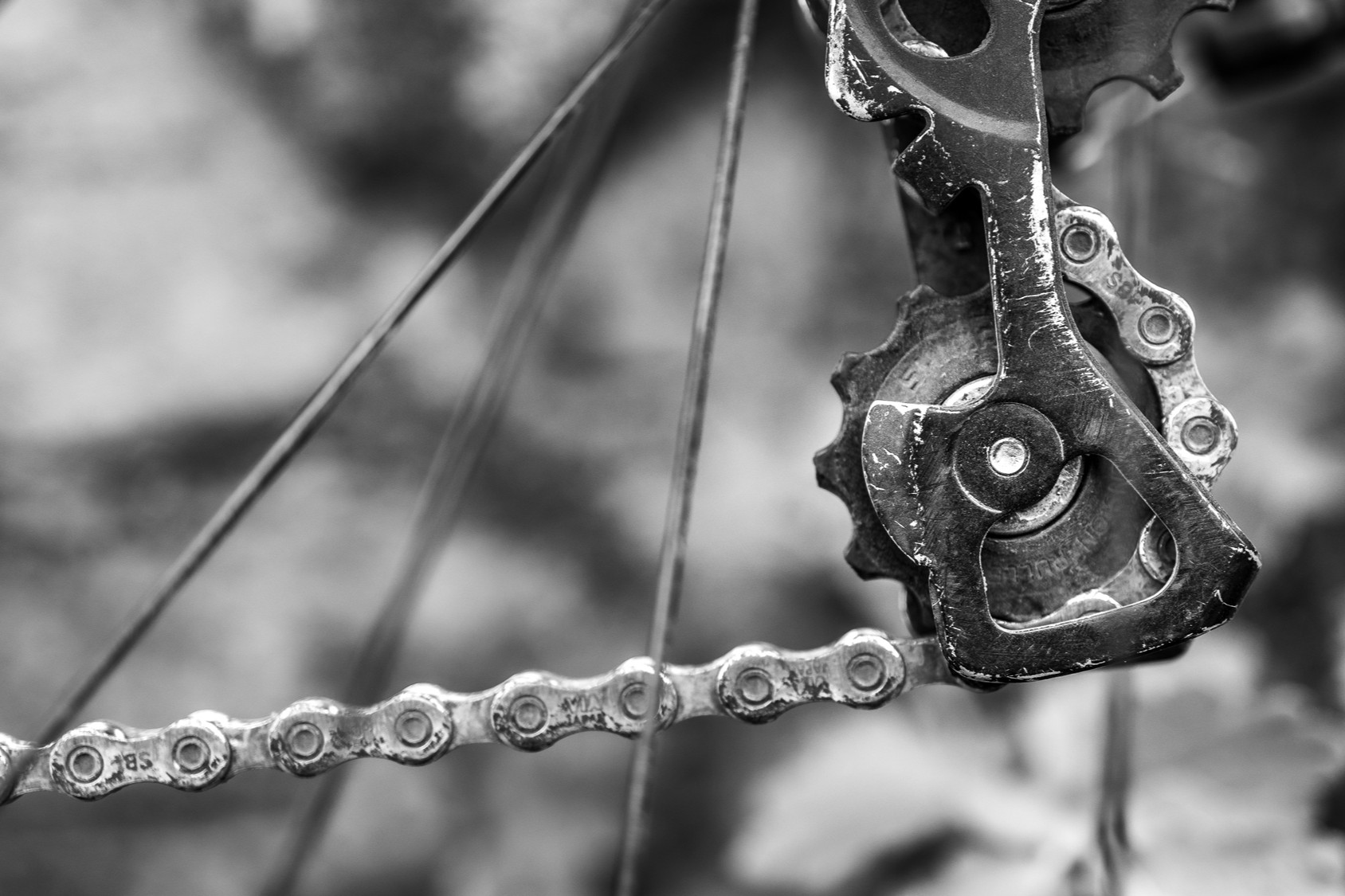 Fahrradkette wird gereinigt